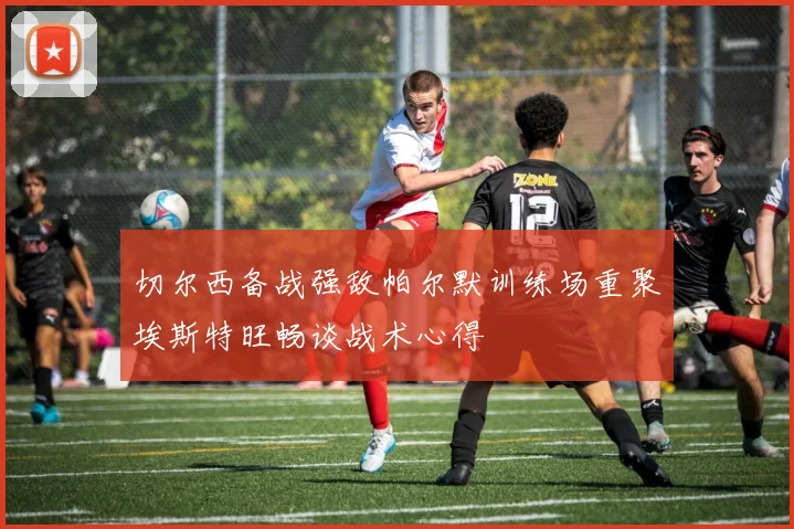 切尔西备战强敌帕尔默训练场重聚埃斯特旺畅谈战术心得
