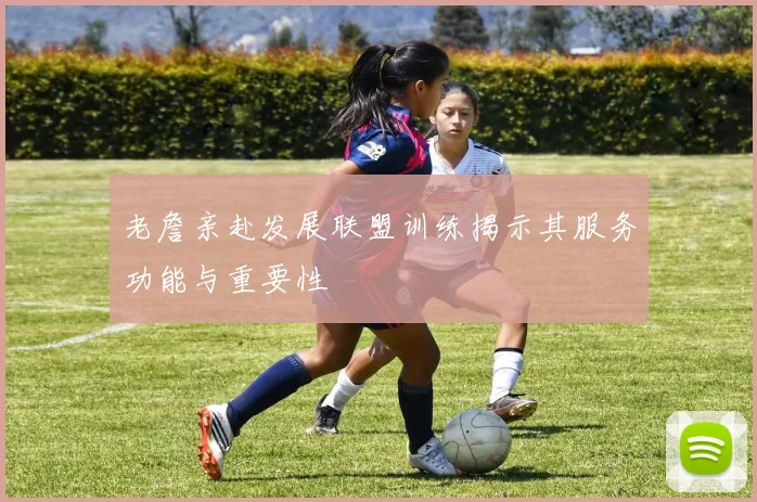 老詹亲赴发展联盟训练揭示其服务功能与重要性
