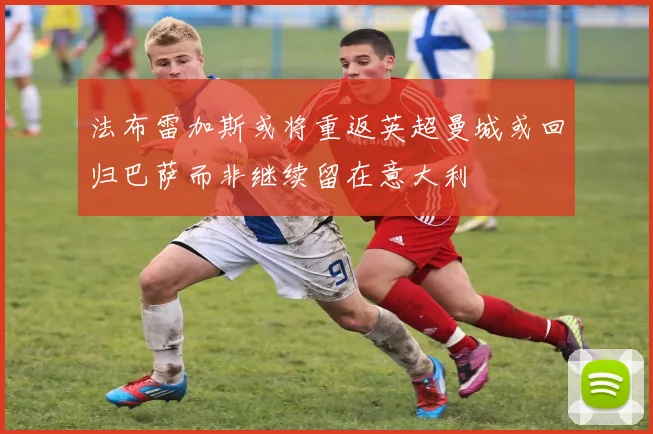 法布雷加斯或将重返英超曼城或回归巴萨而非继续留在意大利